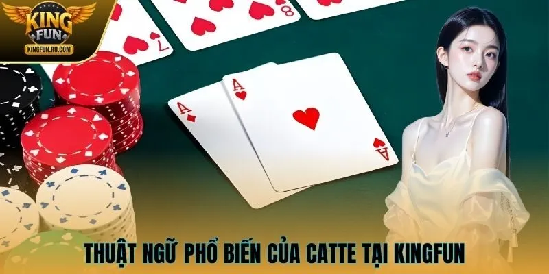 Thuật ngữ phổ biến của Catte tại KINGFUN