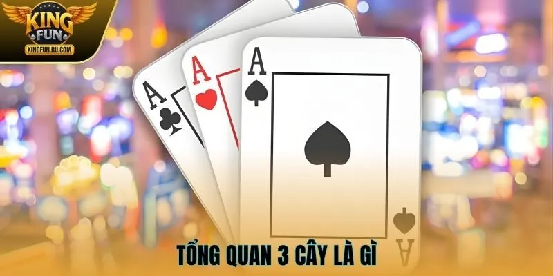 Tổng quan 3 cây là gì
