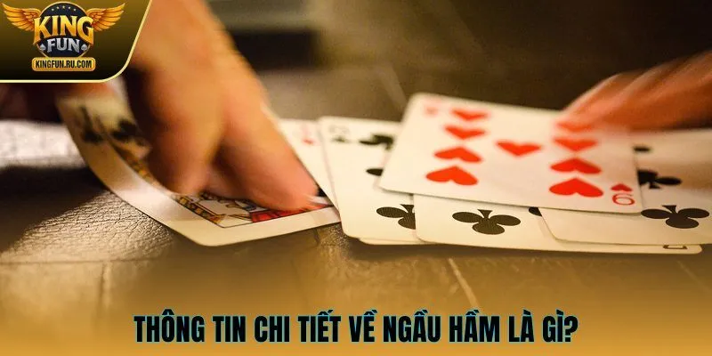 Thông tin chi tiết về ngầu hầm là gì?